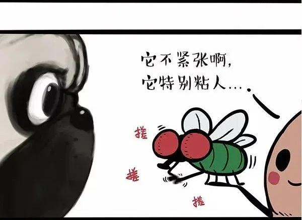 50.jpg