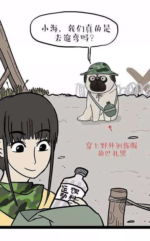 14.jpg