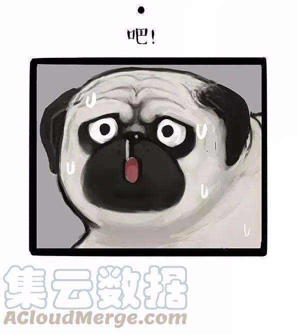 39.jpg