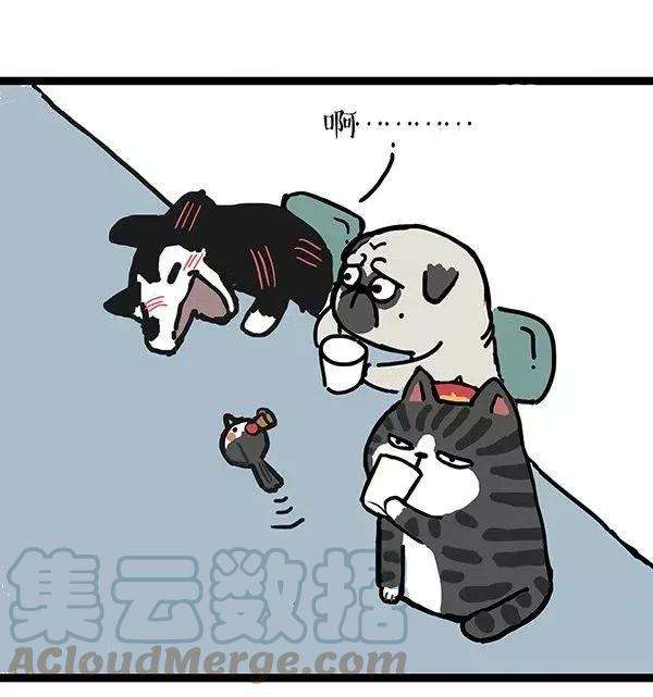 29.jpg
