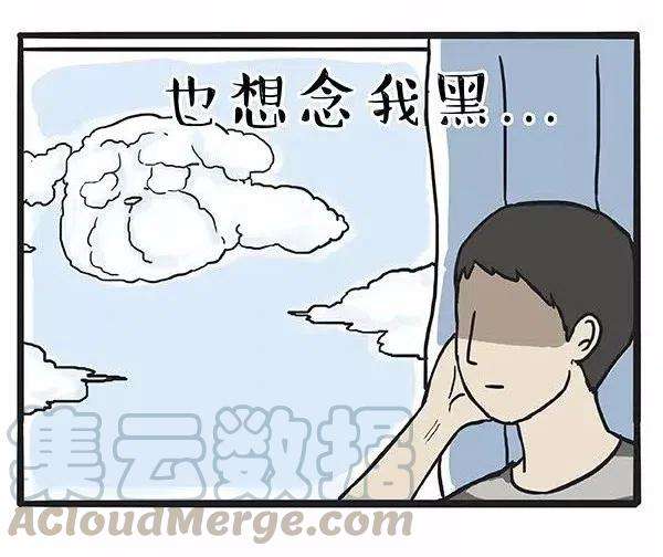 55.jpg