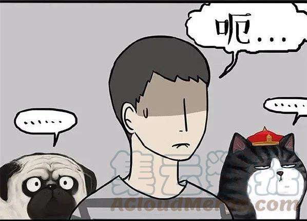 40.jpg