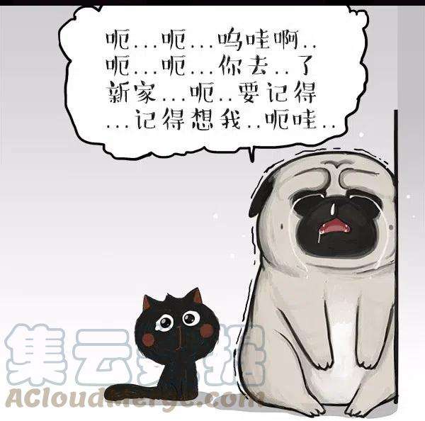 58.jpg