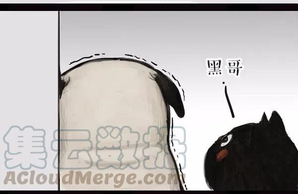 55.jpg