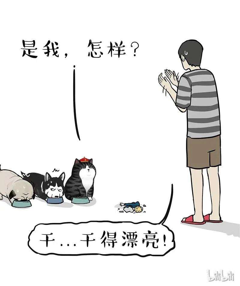 47.jpg