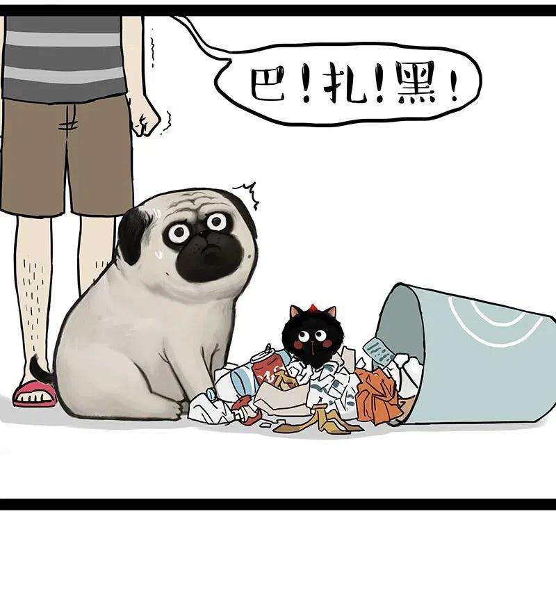 21.jpg