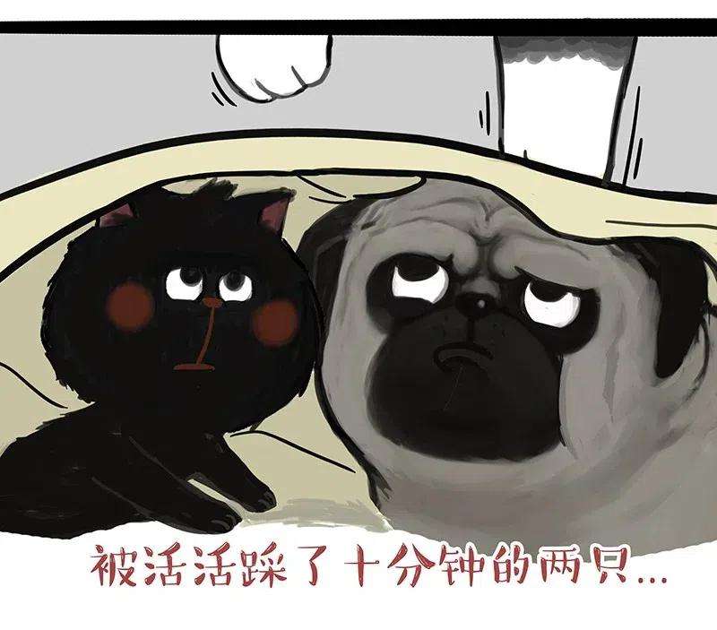 33.jpg
