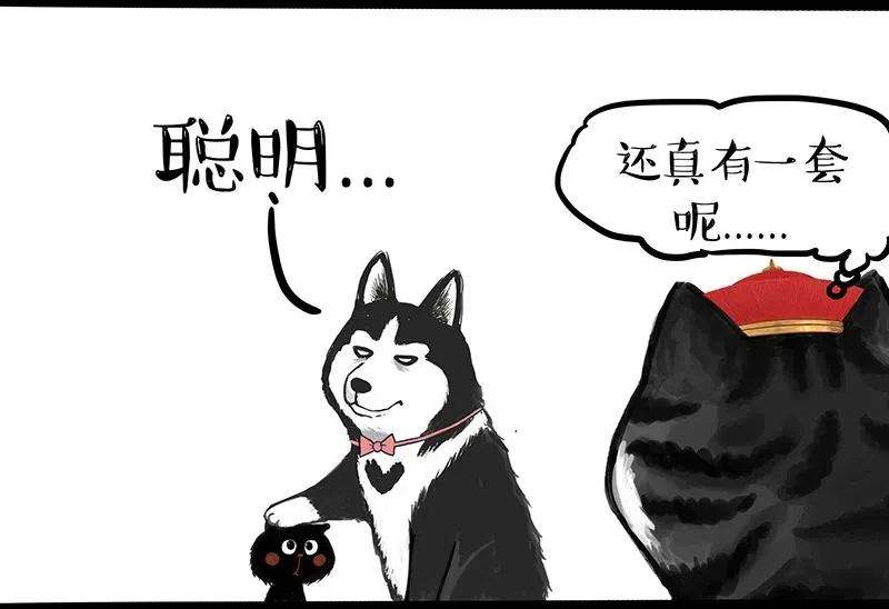 41.jpg