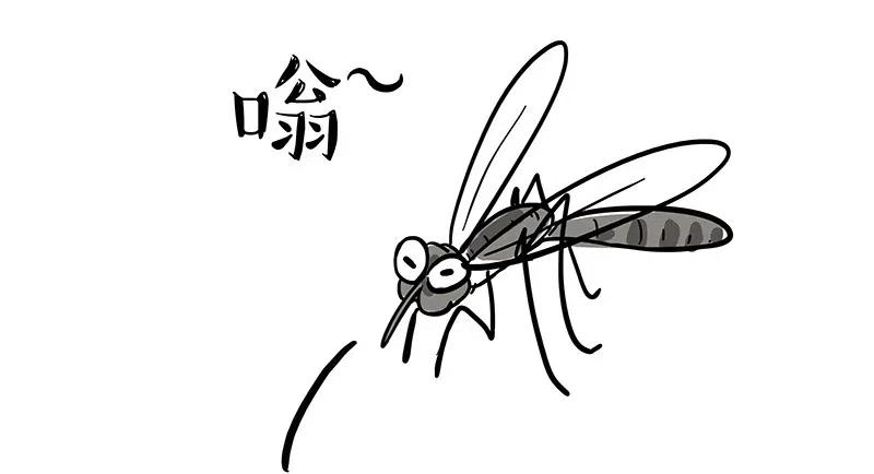 26.jpg