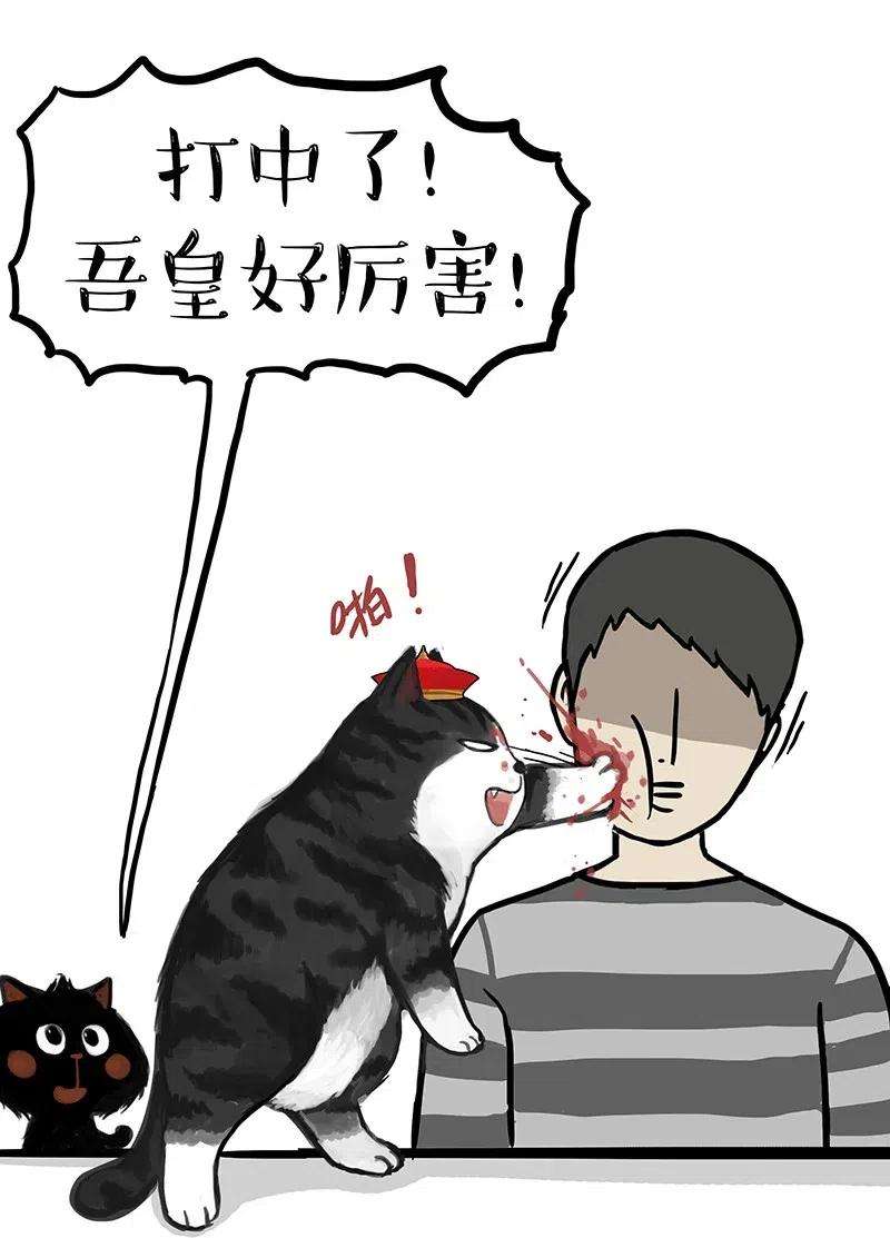 23.jpg