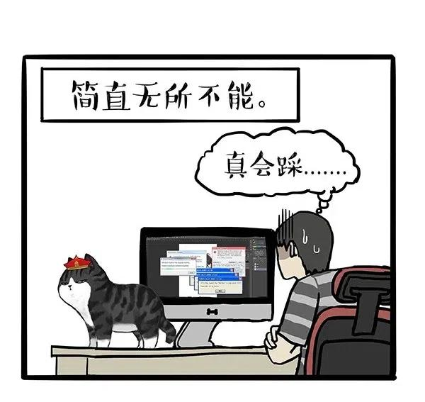 24.jpg