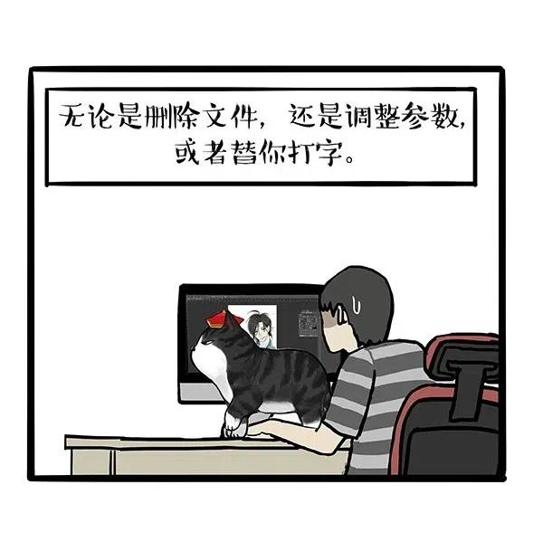 23.jpg