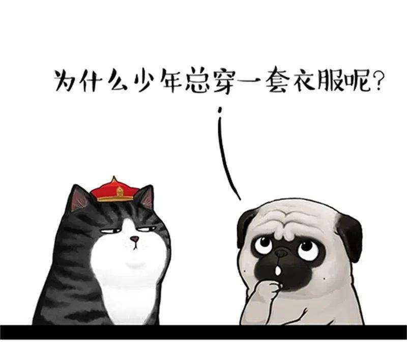 11.jpg