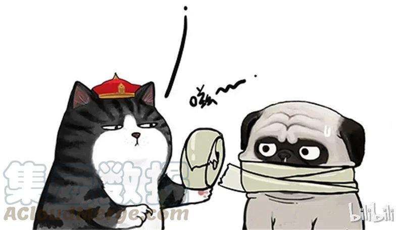 46.jpg