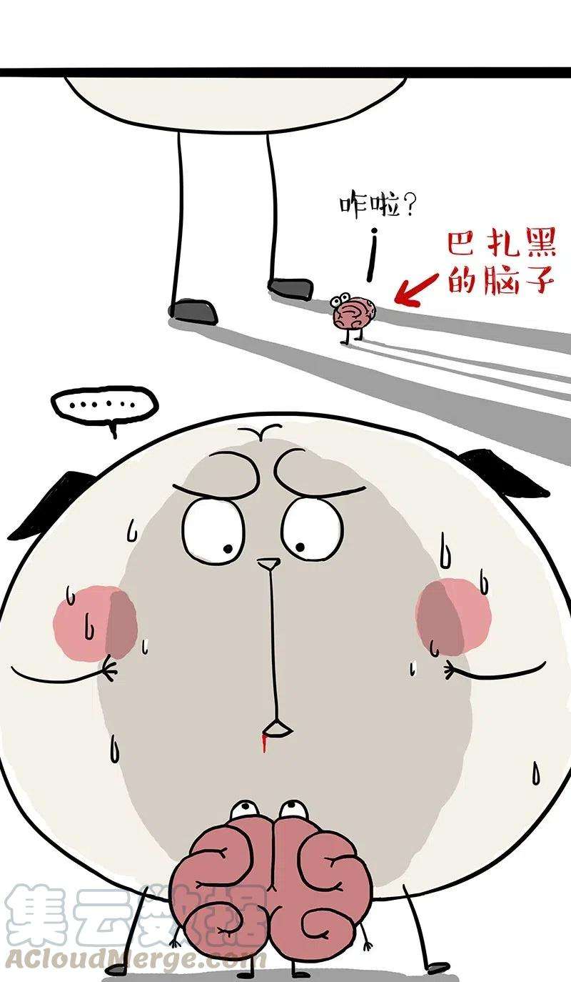 29.jpg