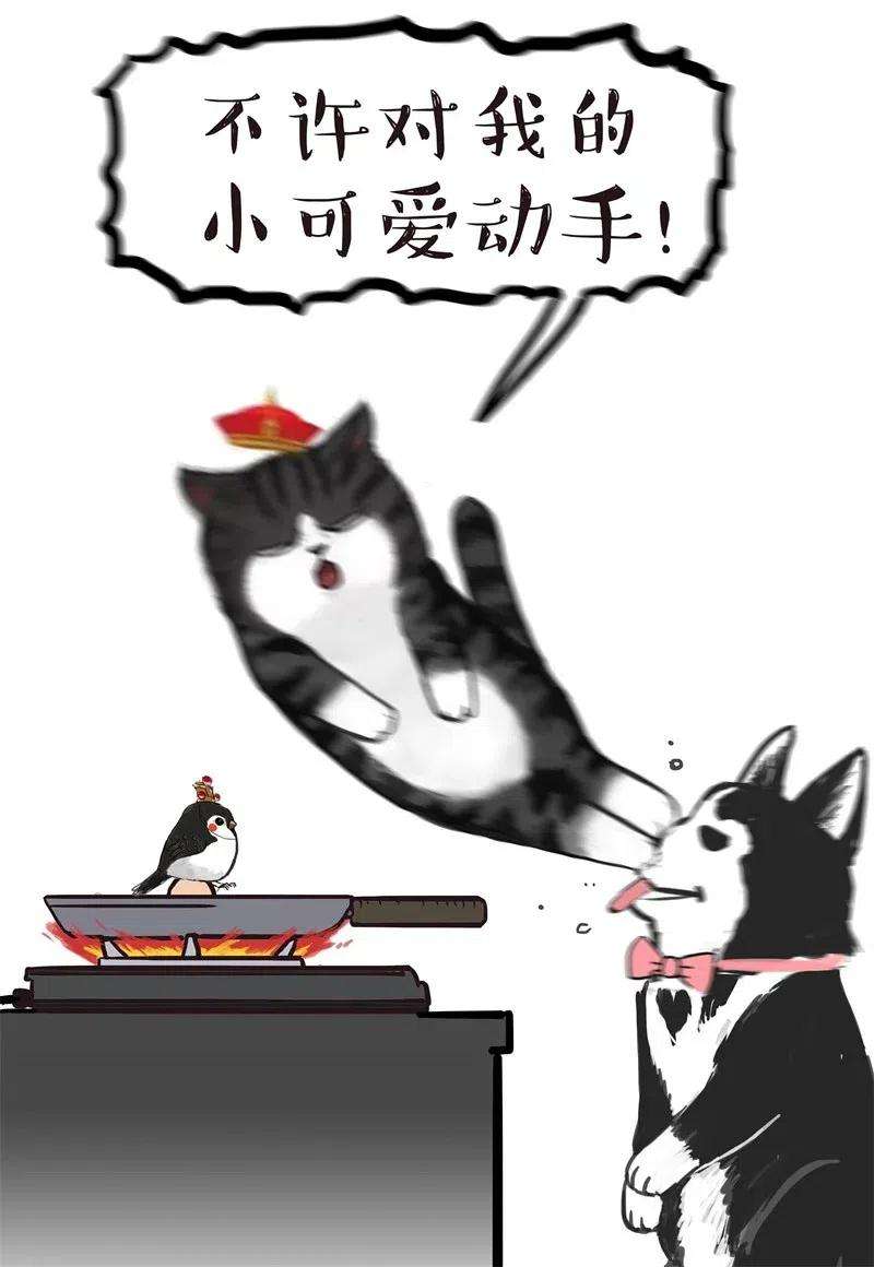 28.jpg