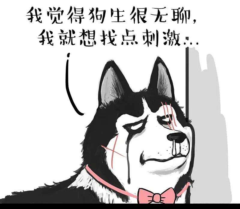 47.jpg