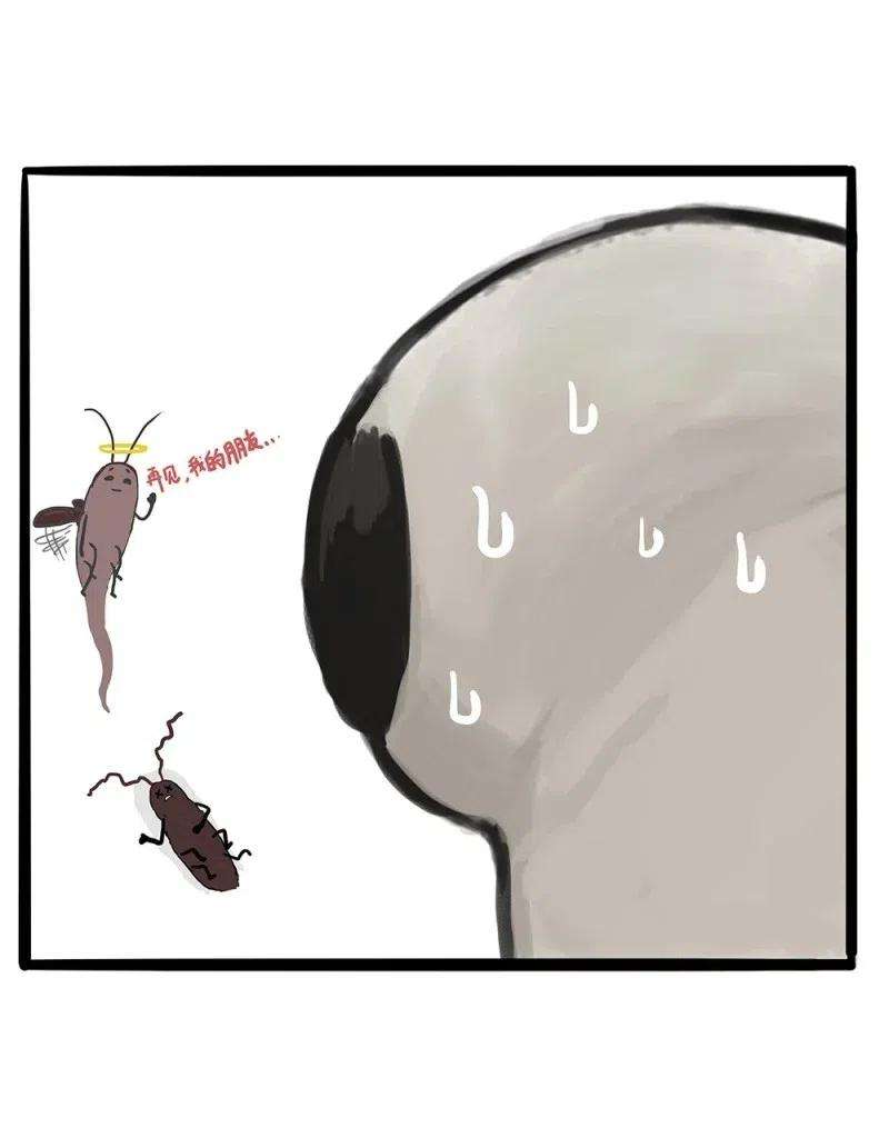 63.jpg