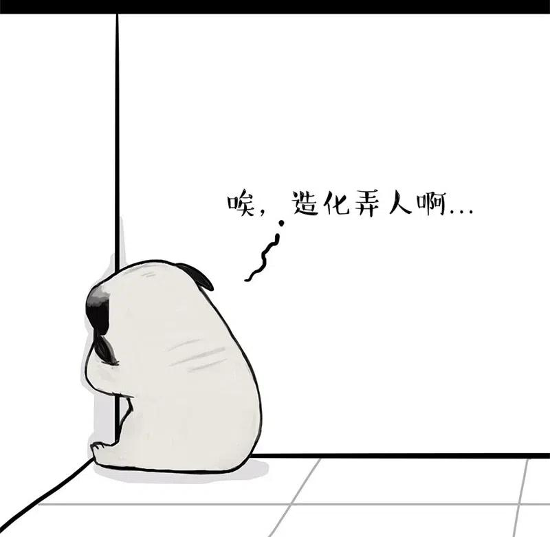 47.jpg