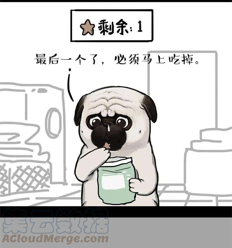 43.jpg