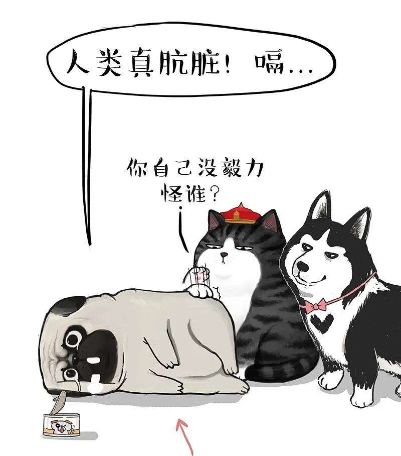 34.jpg