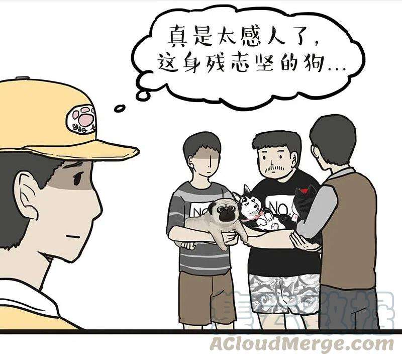 46.jpg