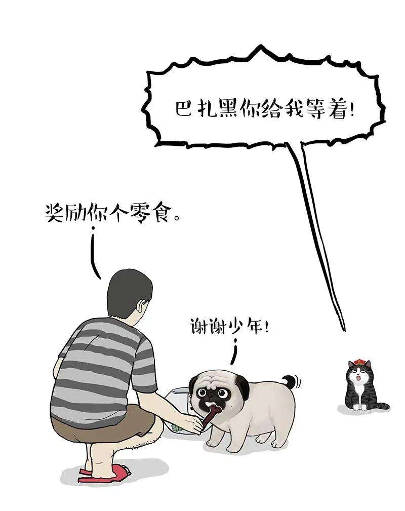 10.jpg