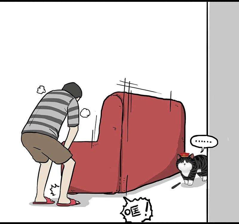 24.jpg
