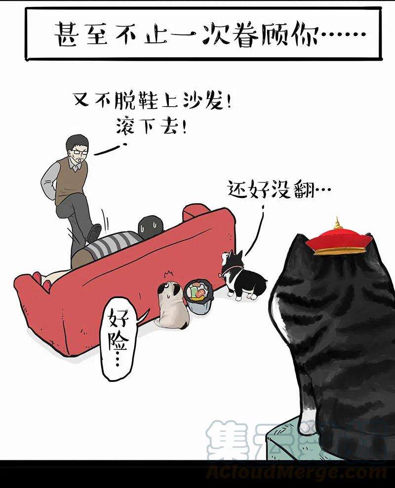 11.jpg