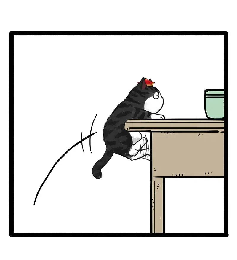 24.jpg
