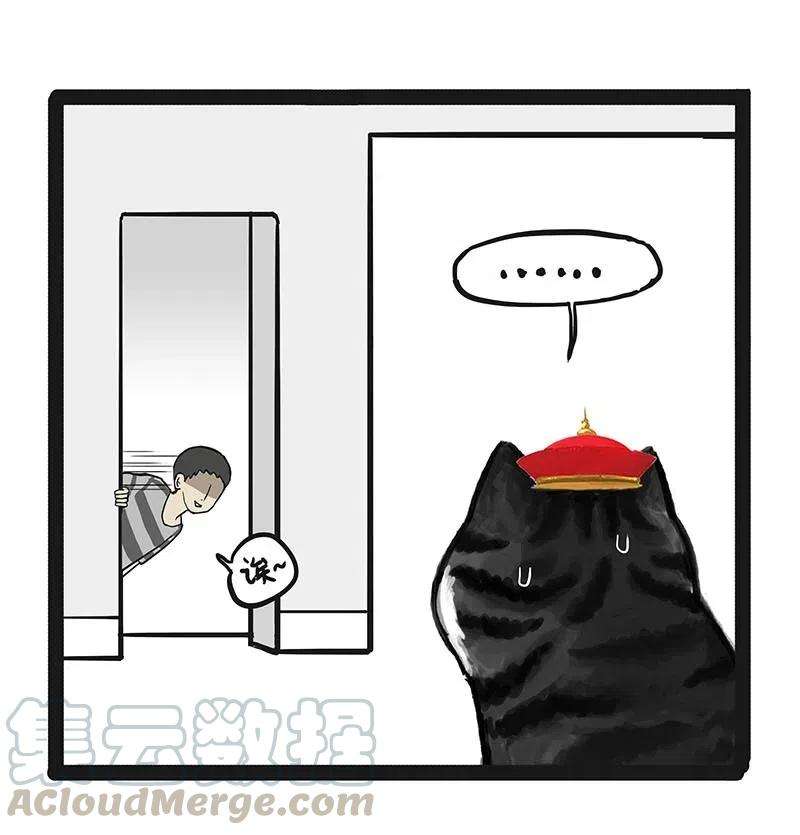 37.jpg