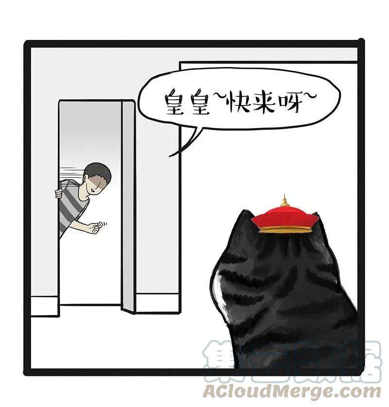 35.jpg