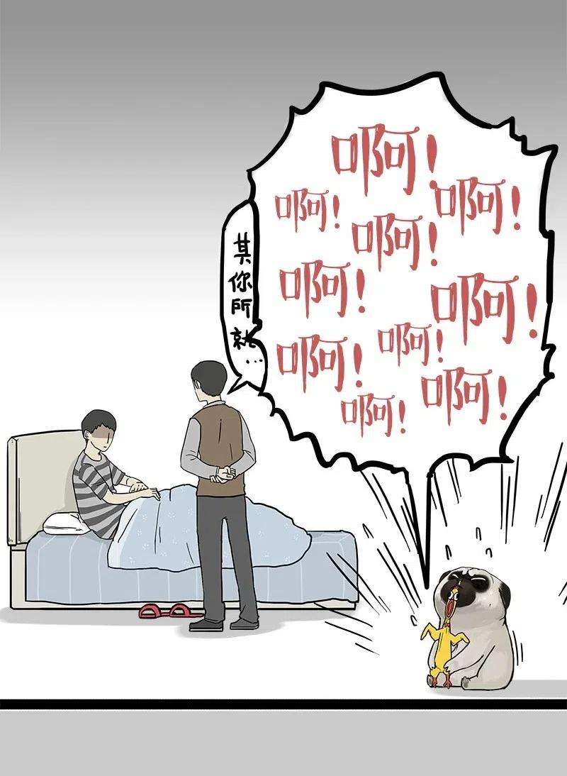 28.jpg