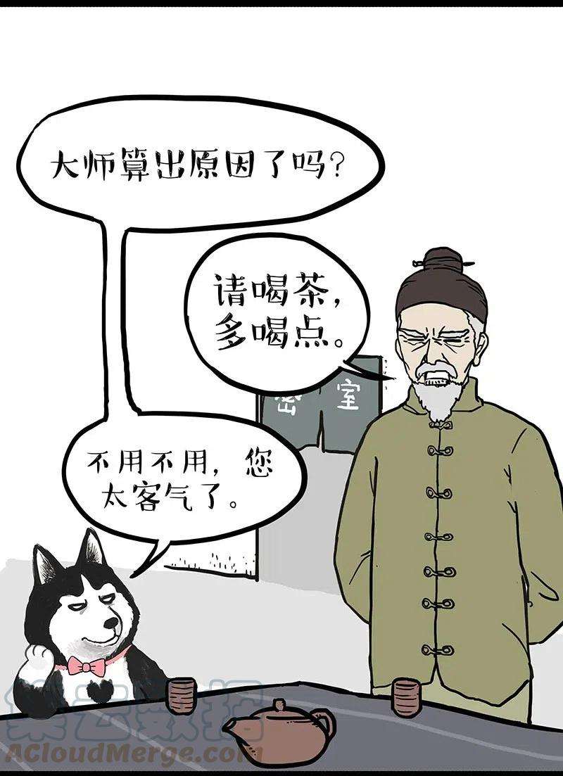 19.jpg