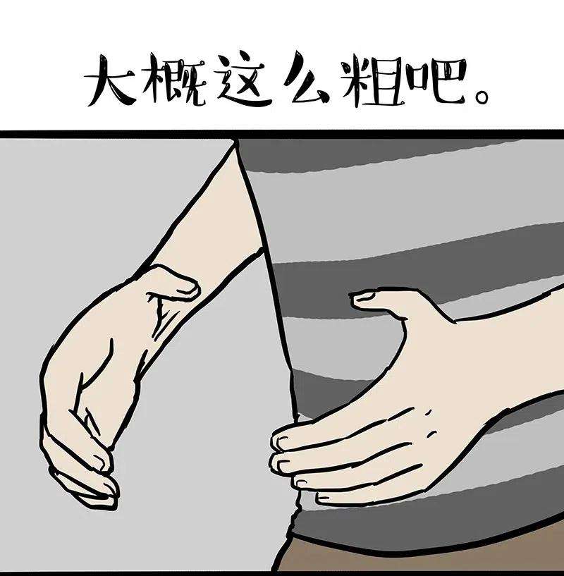 14.jpg