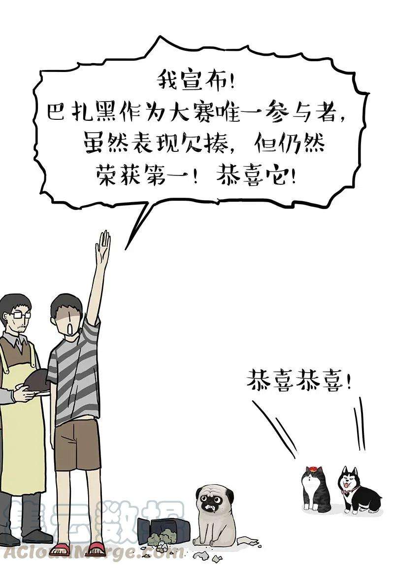 27.jpg