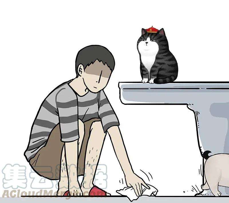 43.jpg
