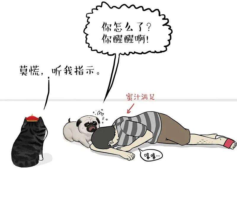 20.jpg