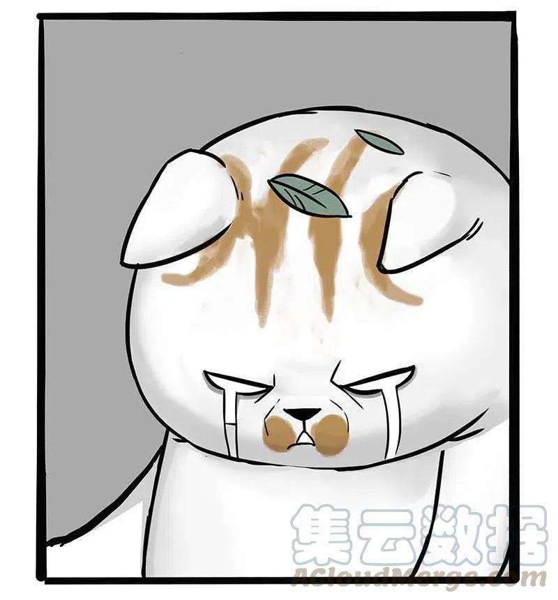 34.jpg