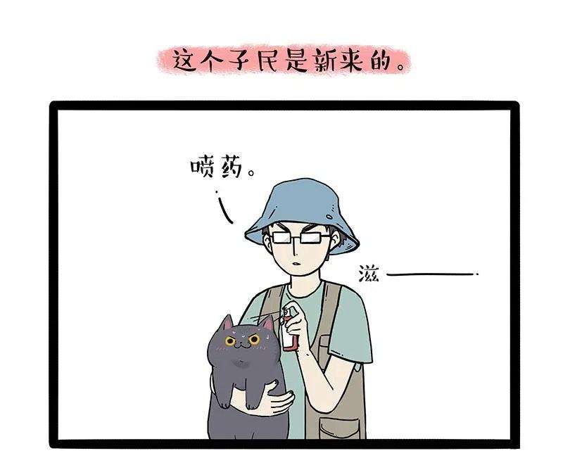 20.jpg