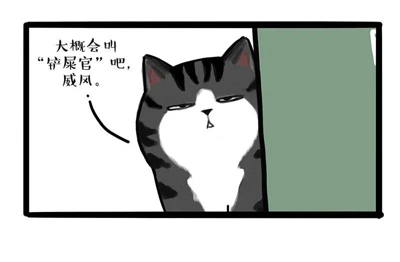 62.jpg