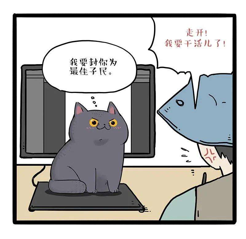 23.jpg
