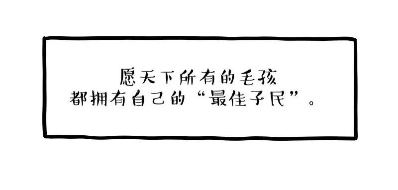 65.jpg