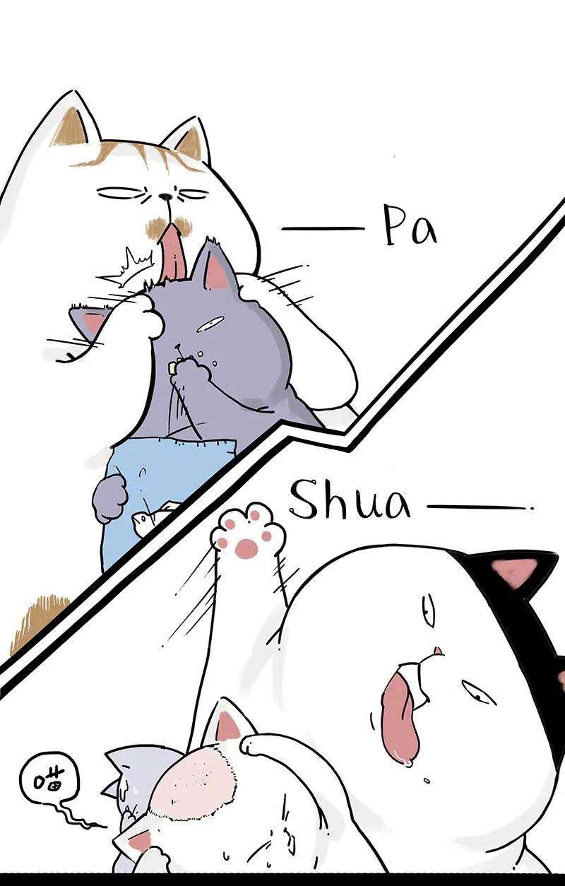 50.jpg