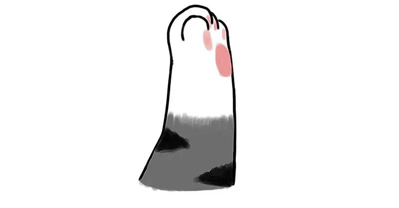 48.jpg