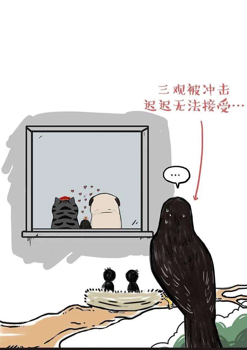 54.jpg