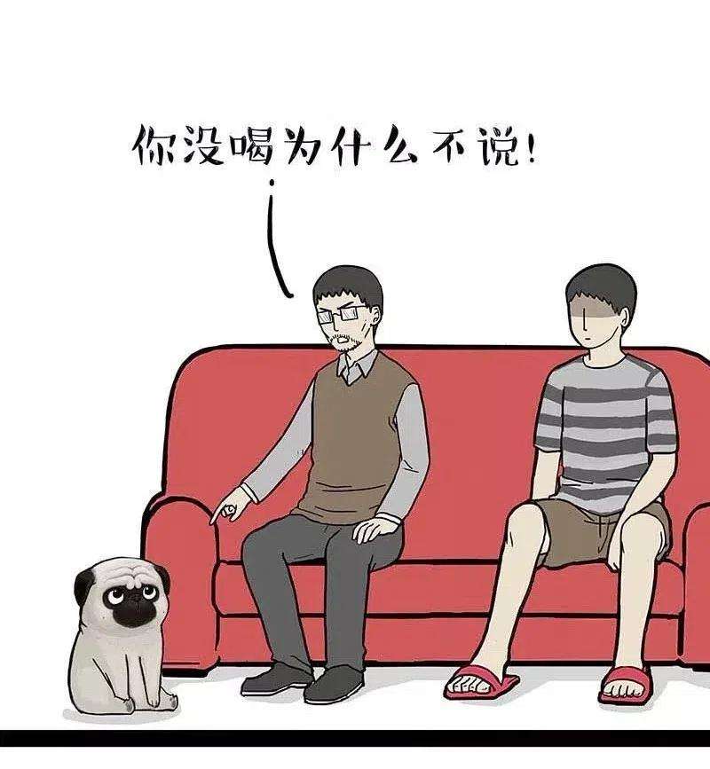 41.jpg