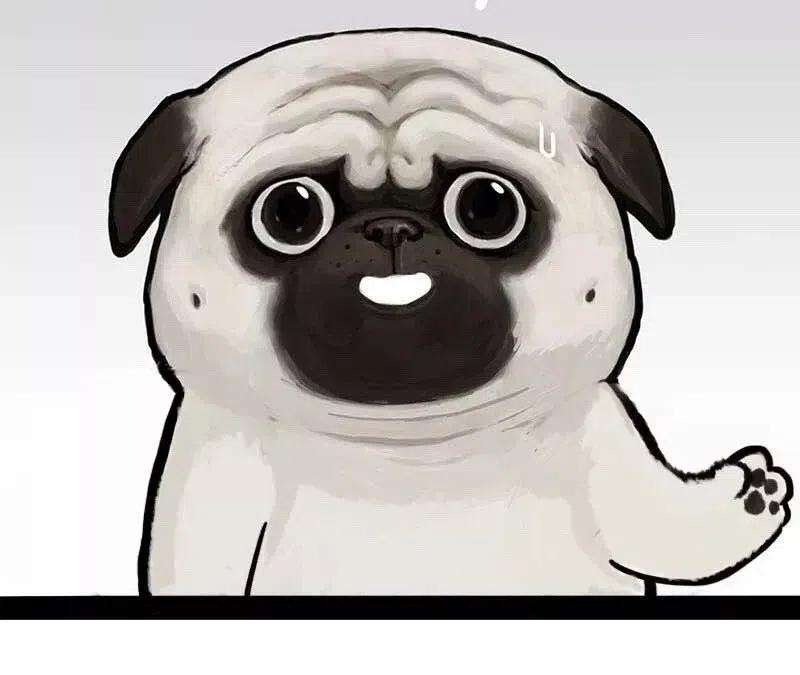 44.jpg