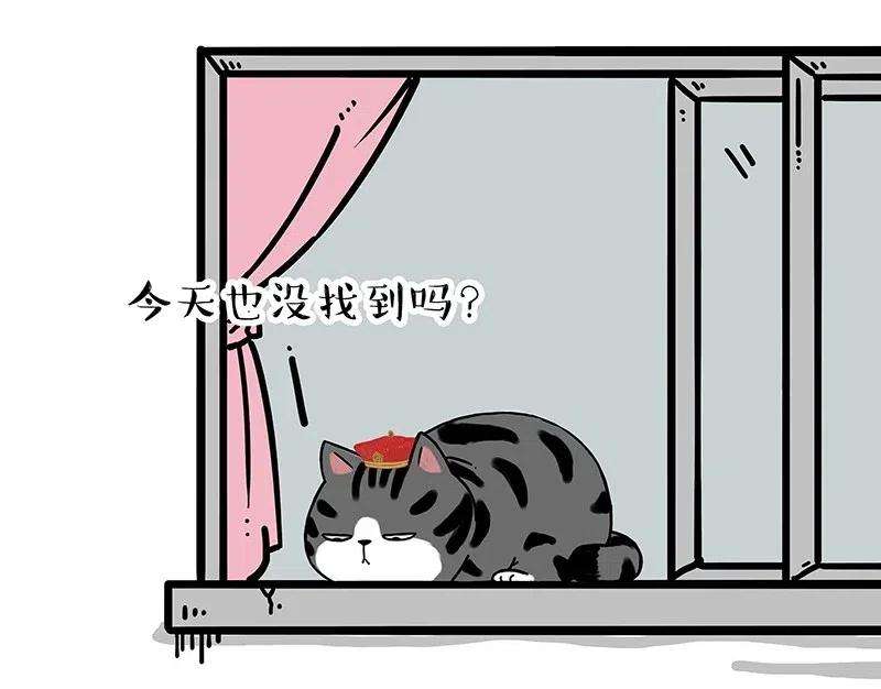 51.jpg