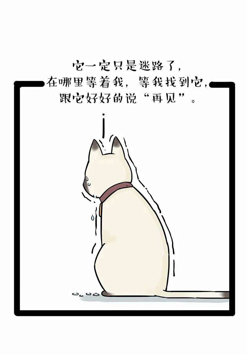 66.jpg